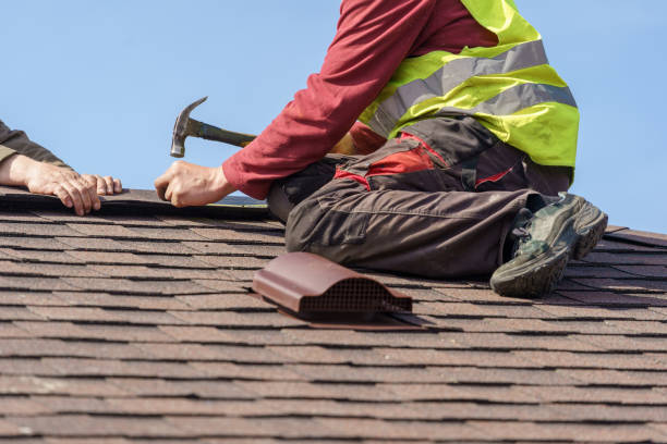 Best Metal Roofing Contractor  in Troup, TX