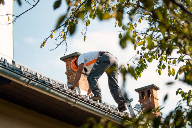 Best Gutter Installation and Roofing  in Troup, TX