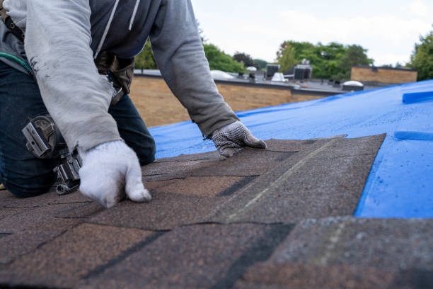 Best Gutter Installation and Roofing  in Troup, TX
